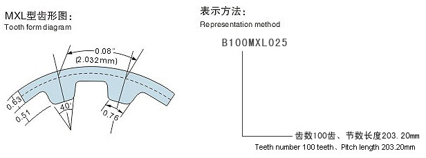 MXL齒形圖 MXL齒形圖